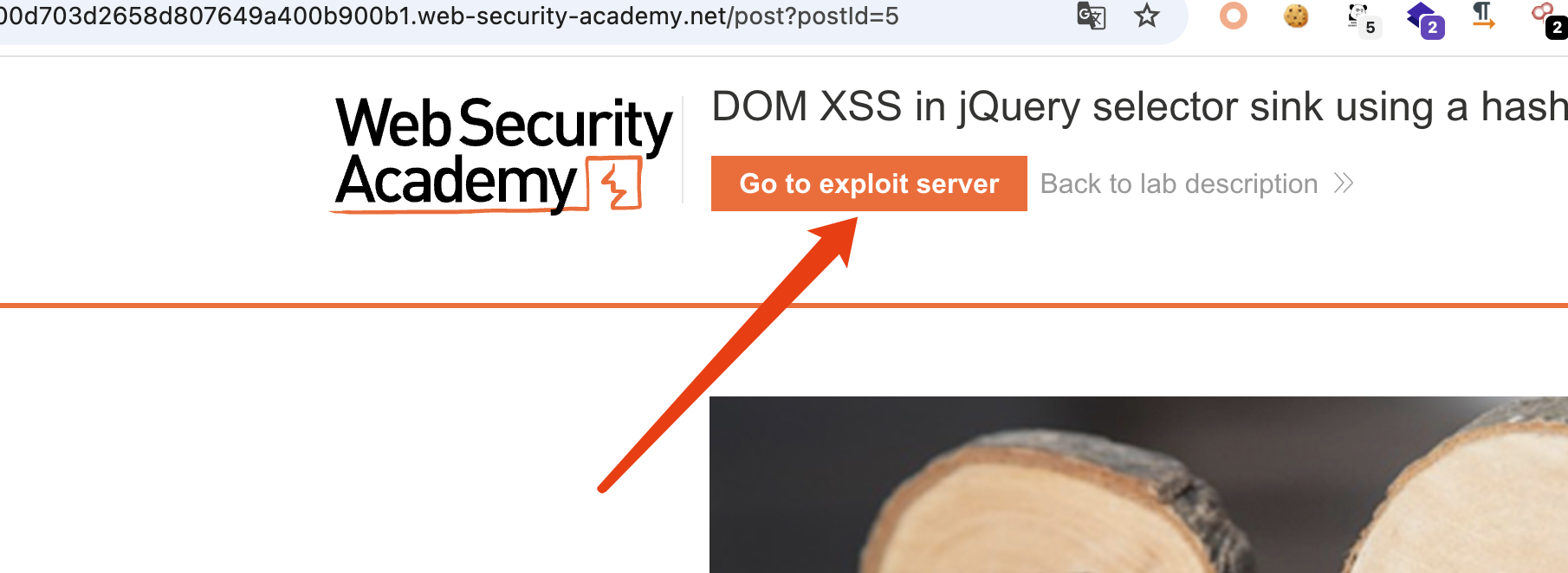 image-20250306134257696 image-20250306134257696