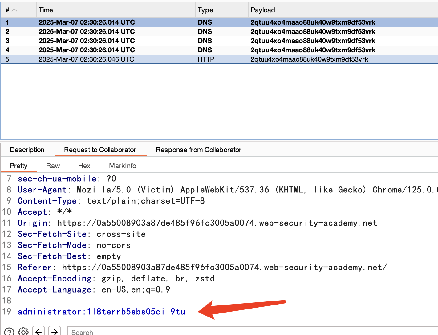 image-20250307103102579 image-20250307103102579